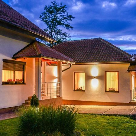 Apartman Savic Bajina Basta Exterior foto