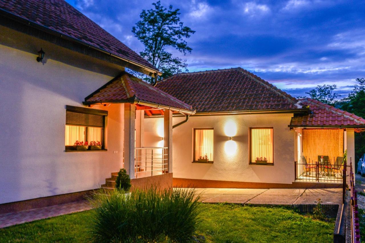 Apartman Savic Bajina Basta Exterior foto