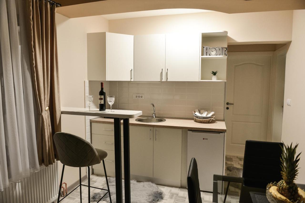 Apartman Savic Bajina Basta Exterior foto